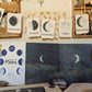 The Phases of the Moon - Printable Digital Download