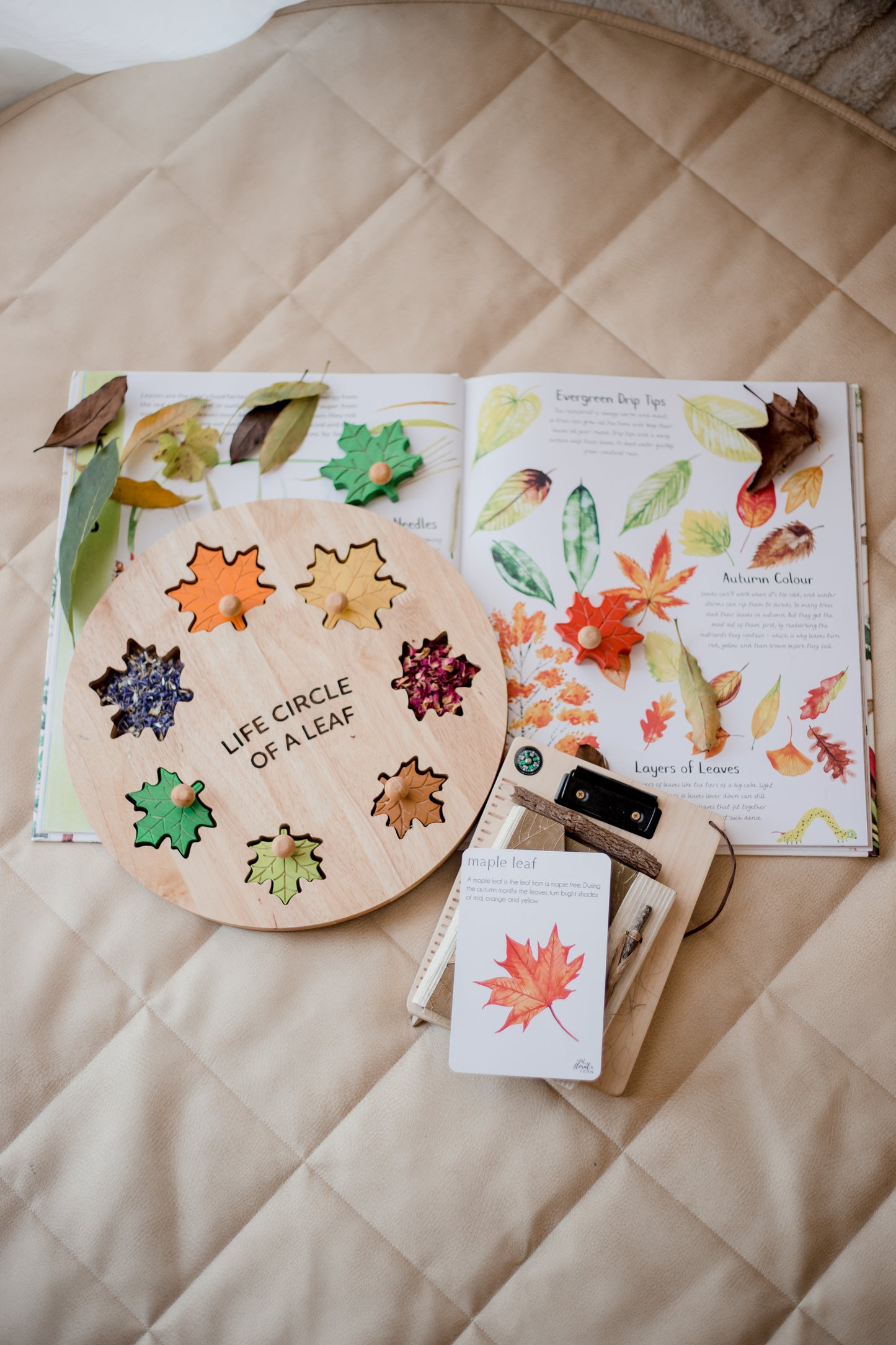 Leaf Circle Of Life Puzzle