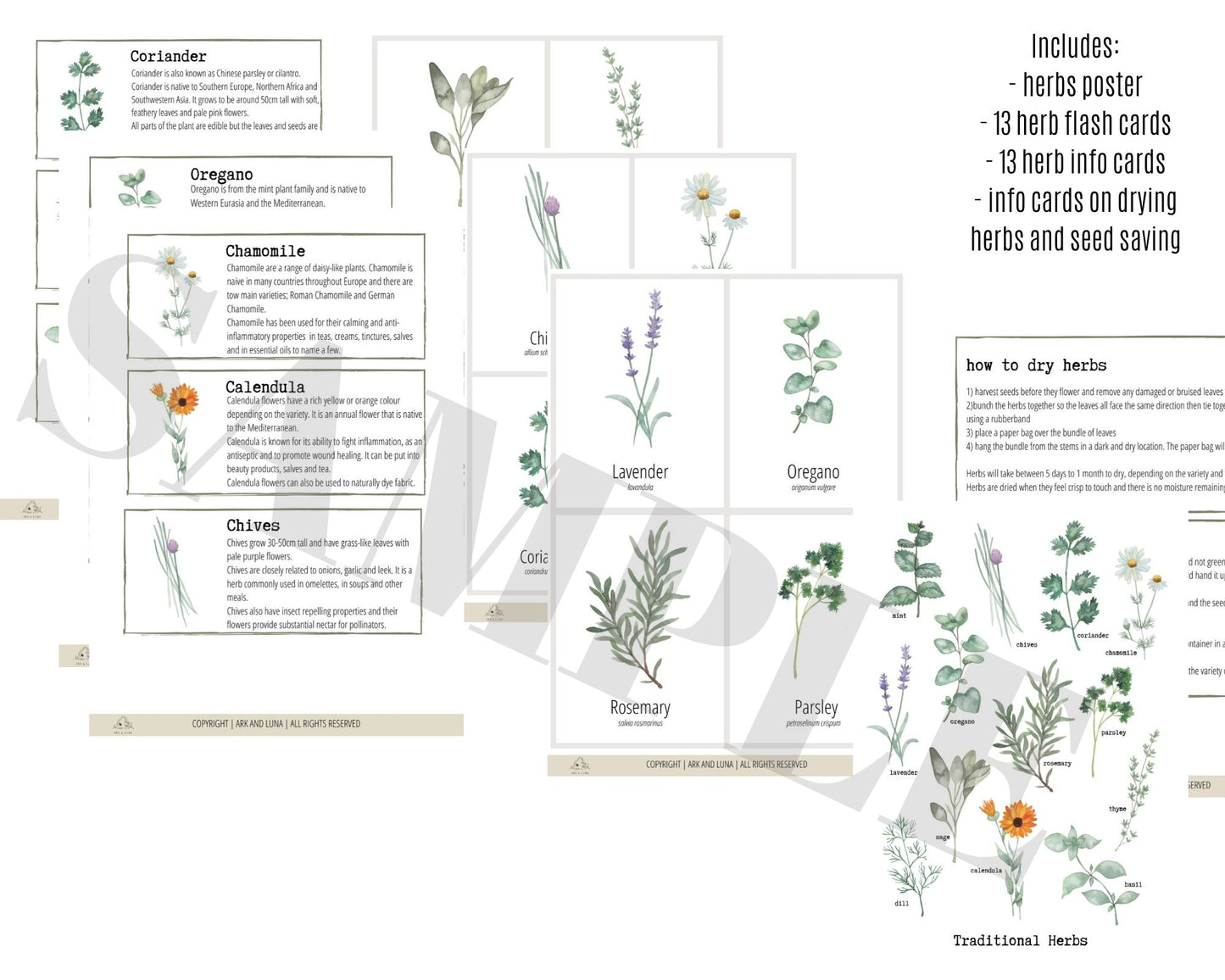 Herb Botanicals - Printable Digital Download