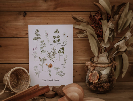 Herb Botanicals - Printable Digital Download