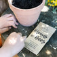 Blooms for Bees - Mixed Seed Varieties Pack