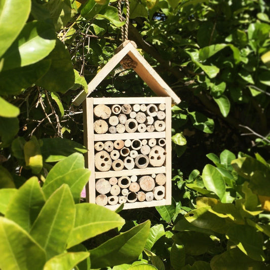 Bee/Insect Hotel